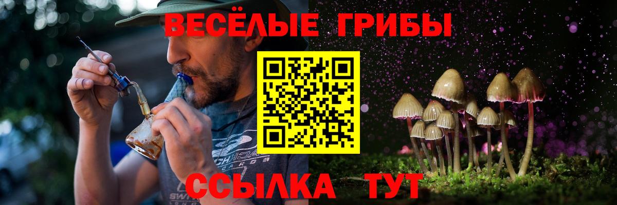 Псилоцибиновые грибы Cubensis  Вход с VPN  Вязьма 